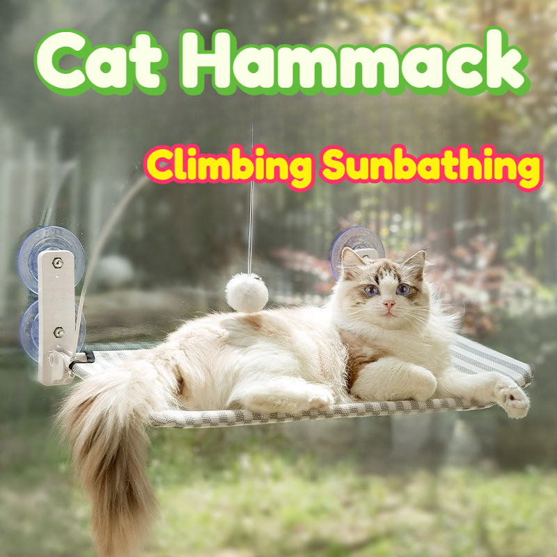 Tempat Tidur Kucing Gantung Je - Interactive Cat Toy ulasan dan harga
