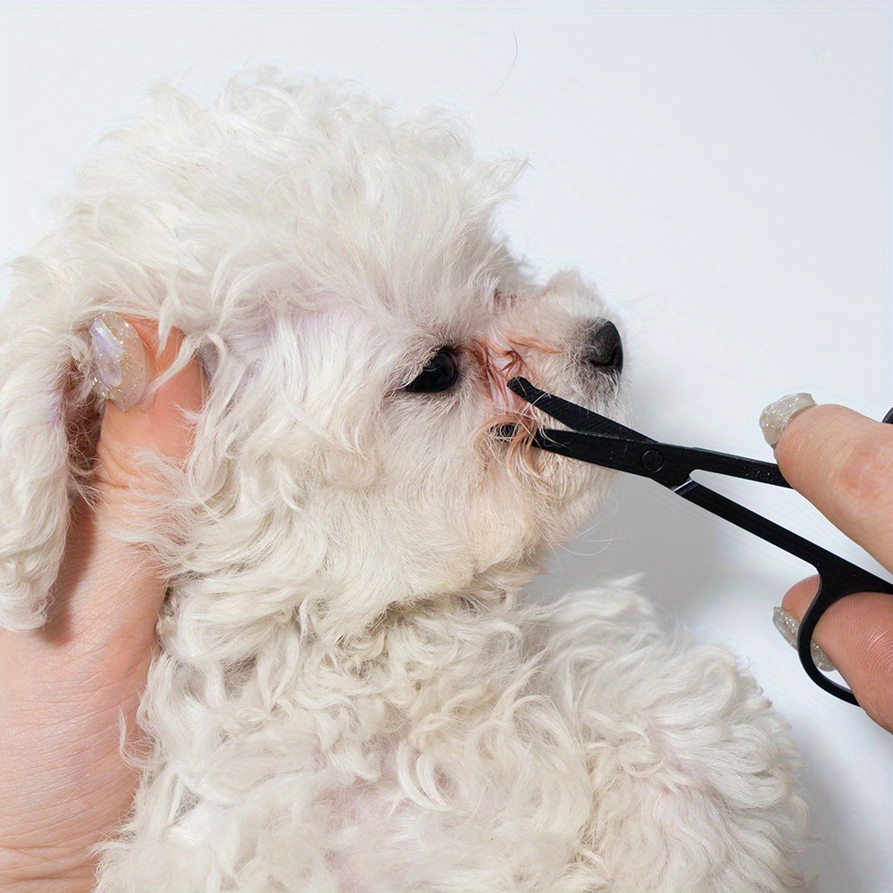 Set Sisir Pembersih Wajah Hewa - Pet Supplies Dropshipping ulasan dan harga