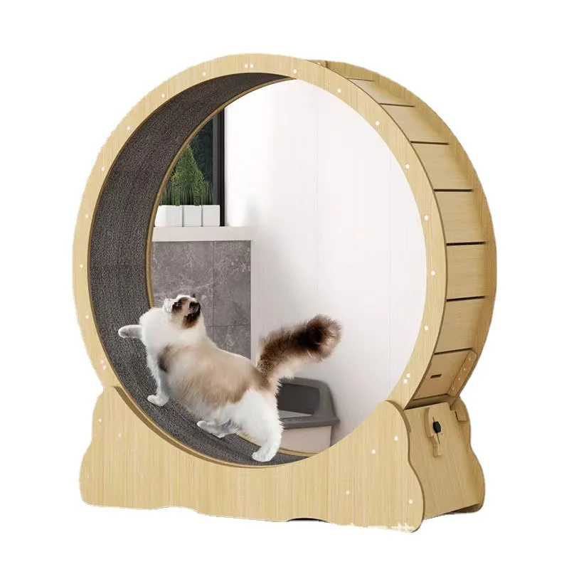 Roda kebugaran kucing mainan d - Interactive Cat Toy ulasan dan harga