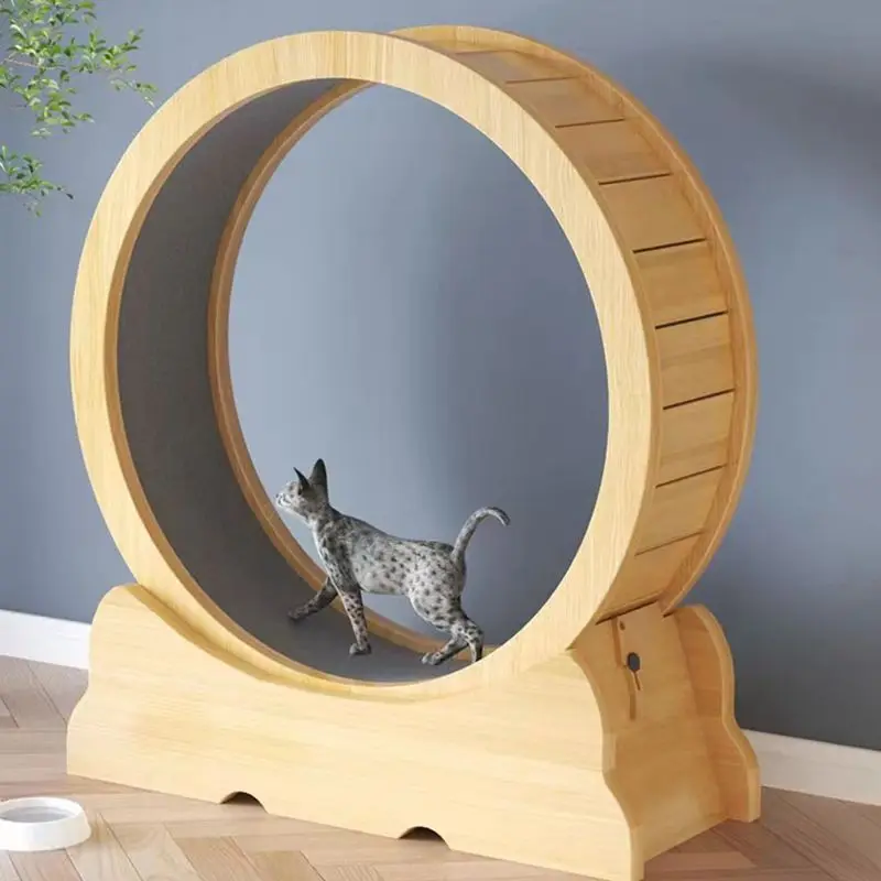 Roda kebugaran kucing mainan d - Interactive Cat Toy ulasan dan harga